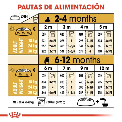 Tabla de pautas de alimentación para cachorros según edad (2–12 meses) y peso adulto (18, 24, 30 kg), con cantidades diarias en gramos y tazas. 1 taza = 240 ml ≈ 96 g.