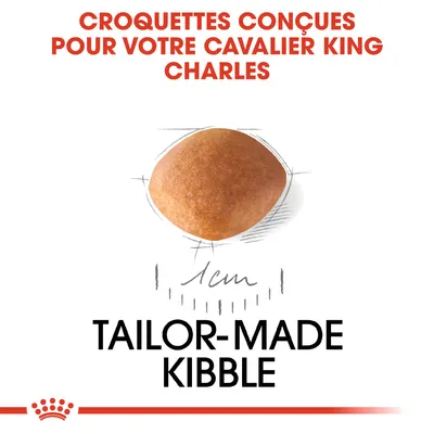 Croquettes conçues pour Cavalier King Charles, croquette illustrée avec diamètre 1 cm, texte en anglais : Tailor-made kibble.