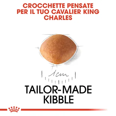 CROCCHETTE PENSATE PER IL TUO CAVALIER KING CHARLES. Crocchetta singola con diametro indicato di 1 cm. Testo in inglese: TAILOR-MADE KIBBLE. CROCCHETTE PENSATE PER IL TUO CAVALIER KING CHARLES. Crocchetta singola con diametro indicato di 1 cm. Testo in inglese: TAILOR-MADE KIBBLE.
