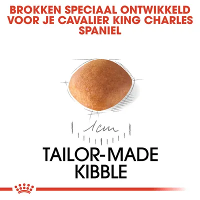 Brokken speciaal ontwikkeld voor je Cavalier King Charles Spaniel, afbeelding van een brok met maatindicatie 1 cm, tekst: Tailor-made kibble.