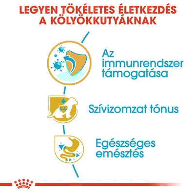 Legyen tökéletes életkezdés a kölyökkutyáknak. Az immunrendszer támogatása, szívizomzat tónus, egészséges emésztés.
