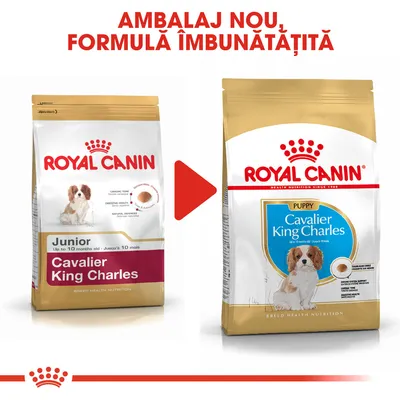 Ambalaj nou și formulă îmbunătățită pentru Royal Canin Cavalier King Charles Junior/Puppy, imagine cu vechiul și noul pachet, text vizibil: 'AMBALAJ NOU, FORMULĂ ÎMBUNĂTĂȚITĂ'.
