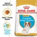 Royal Canin Cavalier King Charles Puppy
