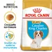 Royal Canin Cavalier King Charles Puppy pour chiot