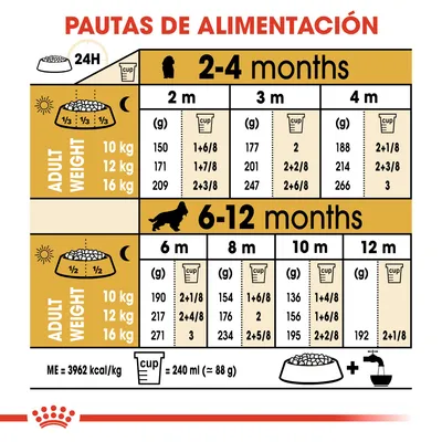Tabla de pautas de alimentación para cachorros según peso adulto (10, 12, 16 kg) y edad (2–12 meses), con cantidades diarias en gramos y tazas. 1 taza = 240 ml (≈88 g).
