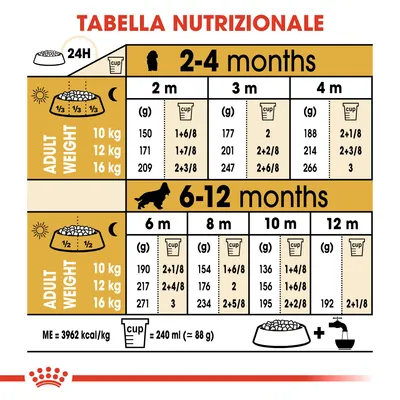 Tabella nutrizionale per cuccioli: dosi giornaliere in grammi e cup per peso adulto 10, 12, 16 kg da 2 a 12 mesi. 1 cup = 240 ml (≈88 g). ME=3962 kcal/kg.
