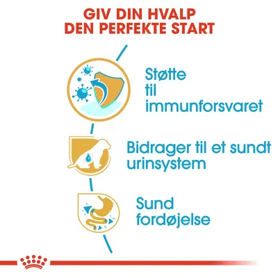 GIV DIN HVALP DEN PERFEKTE START. Støtte til immunforsvaret. Bidrager til et sundt urinsystem. Sund fordøjelse.