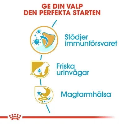 Ge din valp den perfekta starten. Stödjer immunförsvaret, friska urinvägar, magtarmhälsa.