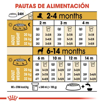 Pautas de alimentación para perros según peso adulto (20, 26, 32 kg) y edad (2–14 meses), con cantidades diarias en gramos y tazas. 1 taza = 240 ml (≈105 g). Instrucciones de agua incluida.
