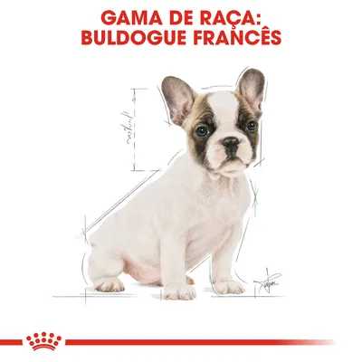 Gama de raça: Buldogue Francês. Ilustração de um cachorro Buldogue Francês com esboços de medidas ao fundo.