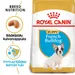 Royal Canin French Bulldog Puppy