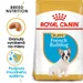 Royal Canin French Bulldog Puppy