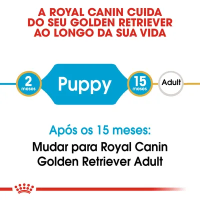 A Royal Canin cuida do seu Golden Retriever ao longo da sua vida. Puppy dos 2 aos 15 meses. Após os 15 meses: mudar para Royal Canin Golden Retriever Adult.