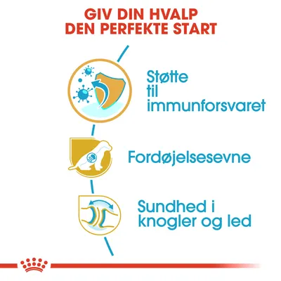 GIV DIN HVALP DEN PERFEKTE START. Støtte til immunforsvaret. Fordøjelsesevne. Sundhed i knogler og led.
