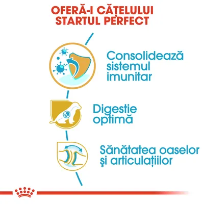 Oferă-i cățelului startul perfect: consolidează sistemul imunitar, digestie optimă, sănătatea oaselor și articulațiilor.