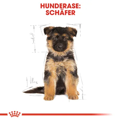 Royal Canin German Shepherd Puppy