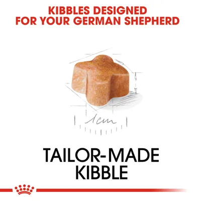 Kibbles designed for your German Shepherd. Tailor-made kibble. Image shows a single kibble piece with 1 cm size marking.
