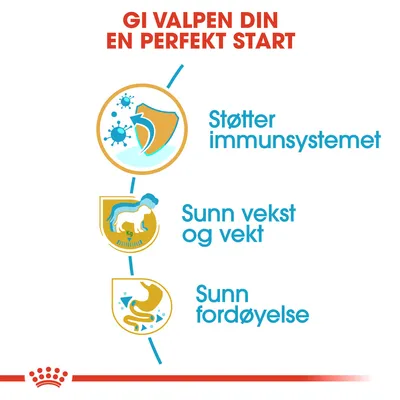 Royal Canin Labrador Retriever Puppy