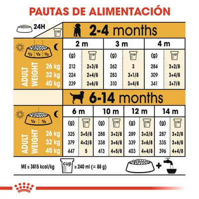 Tabla de pautas de alimentación para cachorros según edad y peso adulto: 2–4 y 6–14 meses, pesos 26, 32, 40 kg; cantidades en gramos y tazas. 1 taza = 240 ml (≈88 g).
