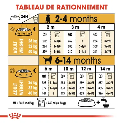 Tableau de rationnement pour chiots selon âge (2–14 mois) et poids adulte (26, 32, 40 kg), quantités en grammes et tasses par jour. 1 tasse = 240 ml (≈88 g). ME = 3815 kcal/kg.