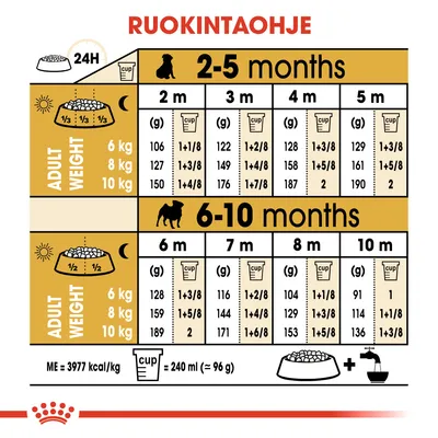 Ruokintaohje pennuille: taulukko näyttää päivittäiset annoskoot grammoina ja kuppimäärinä iän (2–10 kk) ja aikuispainon (6, 8, 10 kg) mukaan. 1 kuppi = 240 ml ≈ 96 g.