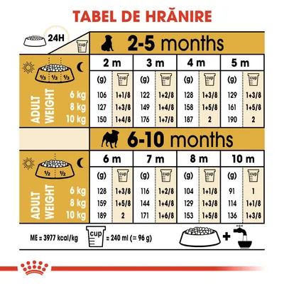 Tabel de hrănire pentru câini: cantități zilnice recomandate în funcție de vârstă (2–10 luni) și greutatea adultului (6, 8, 10 kg), exprimate în grame și cupe de 240 ml.