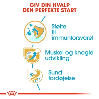 GIV DIN HVALP DEN PERFEKTE START. Støtte til immunforsvaret. Muskel og knogle udvikling. Sund fordøjelse.