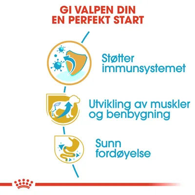 Royal Canin Rottweiler Puppy