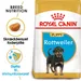Royal Canin Rottweiler Puppy