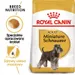 Royal Canin Miniature Schnauzer Adult