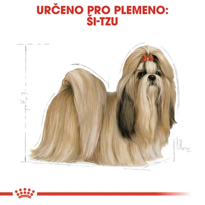 Text: URČENO PRO PLEMENO: ŠI-TZU. Ilustrace psa plemene ši-tzu s dlouhou srstí a červenou mašlí na hlavě.