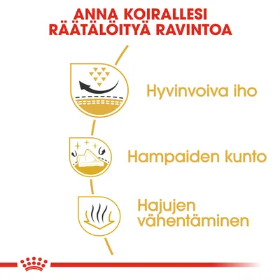 ANNA KOIRALLESI RÄÄTÄLÖITYÄ RAVINTOA. Hyvinvoiva iho, hampaiden kunto, hajujen vähentäminen.