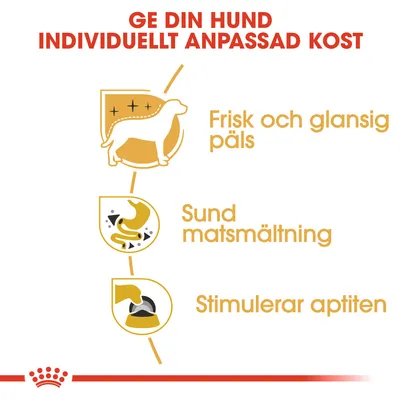 Ge din hund individuellt anpassad kost. Frisk och glansig päls, sund matsmältning, stimulerar aptiten.