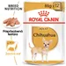 Royal Canin Chihuahua Mousse