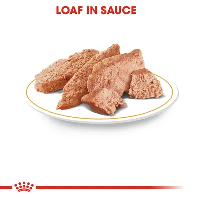 Lautasella paloiteltua vaaleanruskeaa lemmikkien märkäruokaa. Yläreunassa teksti: LOAF IN SAUCE.