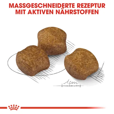 Räätälöity resepti aktiivisilla ravintoaineilla. Kuvassa nappulat, koko 1 cm.