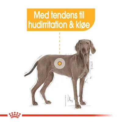Hund med markering på siden og teksten: Med tendens til hudirritation & kløe