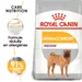 Royal Canin Medium Dermacomfort pour chien