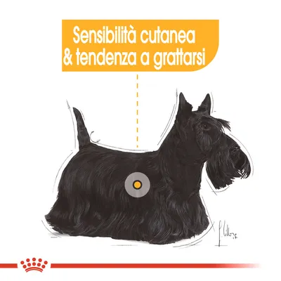 Testo: Sensibilità cutanea & tendenza a grattarsi, sopra illustrazione di un cane nero con un punto evidenziato sul fianco.