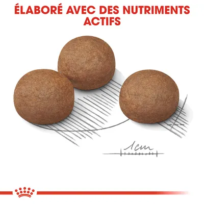 Trois croquettes rondes, indication de taille 1 cm, texte en haut : « Élaboré avec des nutriments actifs »