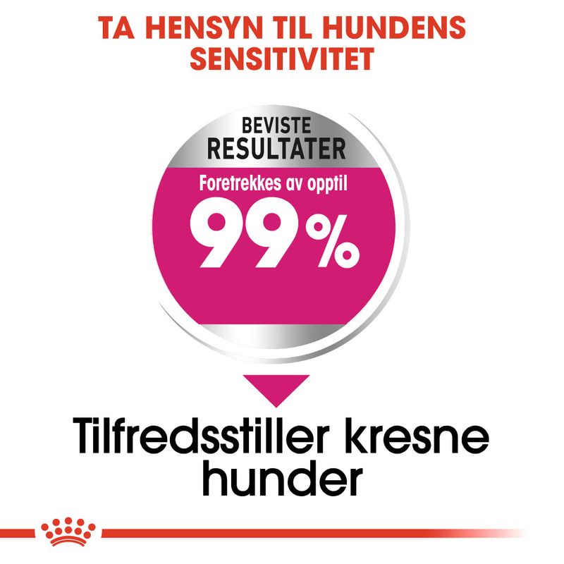 Royal Canin Mini Exigent