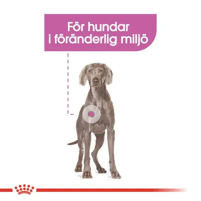 Text: För hundar i föränderlig miljö. Illustration av en hund med markering på bröstet.