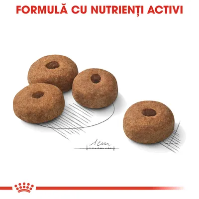 Patru crochete rotunde, fiecare cu gaură centrală, lângă o scală de 1 cm. Text vizibil: FORMULĂ CU NUTRIENȚI ACTIVI.
