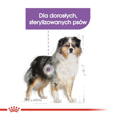 Ilustracja psa z napisem: Dla dorosłych, sterylizowanych psów. Widoczne linie pomiarowe i oznaczenie na tułowiu.
