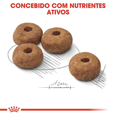 Quatro croquetes de ração com formato circular, diâmetro aproximado de 1 cm. Texto visível: 'Concebido com nutrientes ativos'.