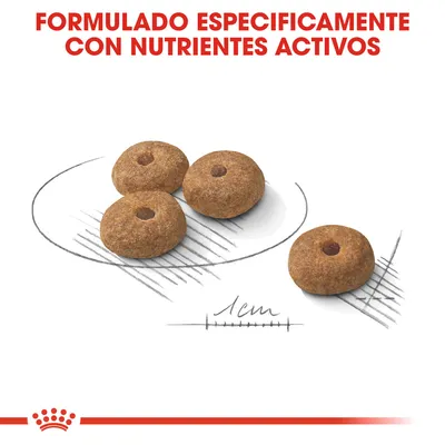 Cuatro croquetas redondas de pienso, diámetro aproximado 1 cm. Texto: Formulado específicamente con nutrientes activos.