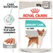 Royal Canin Urinary Care Mousse