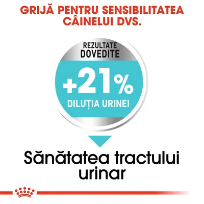 Text vizibil: Grijă pentru sensibilitatea câinelui dvs. Rezultate dovedite +21% diluția urinei. Sănătatea tractului urinar.
