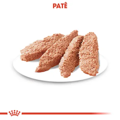 Patê em fatias servido num prato branco, com a palavra 'PATÊ' em destaque na parte superior da imagem.