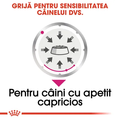 Grijă pentru sensibilitatea câinelui dvs. Pentru câini cu apetit capricios.